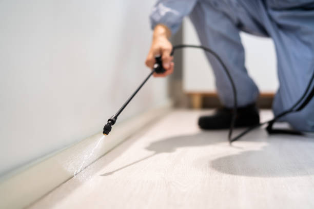Bed Bug Pre-Treatment Preparation Assessment in Romulus