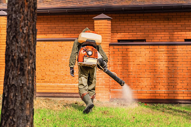 Bed Bug Clearance Verification and Documentation in Romulus